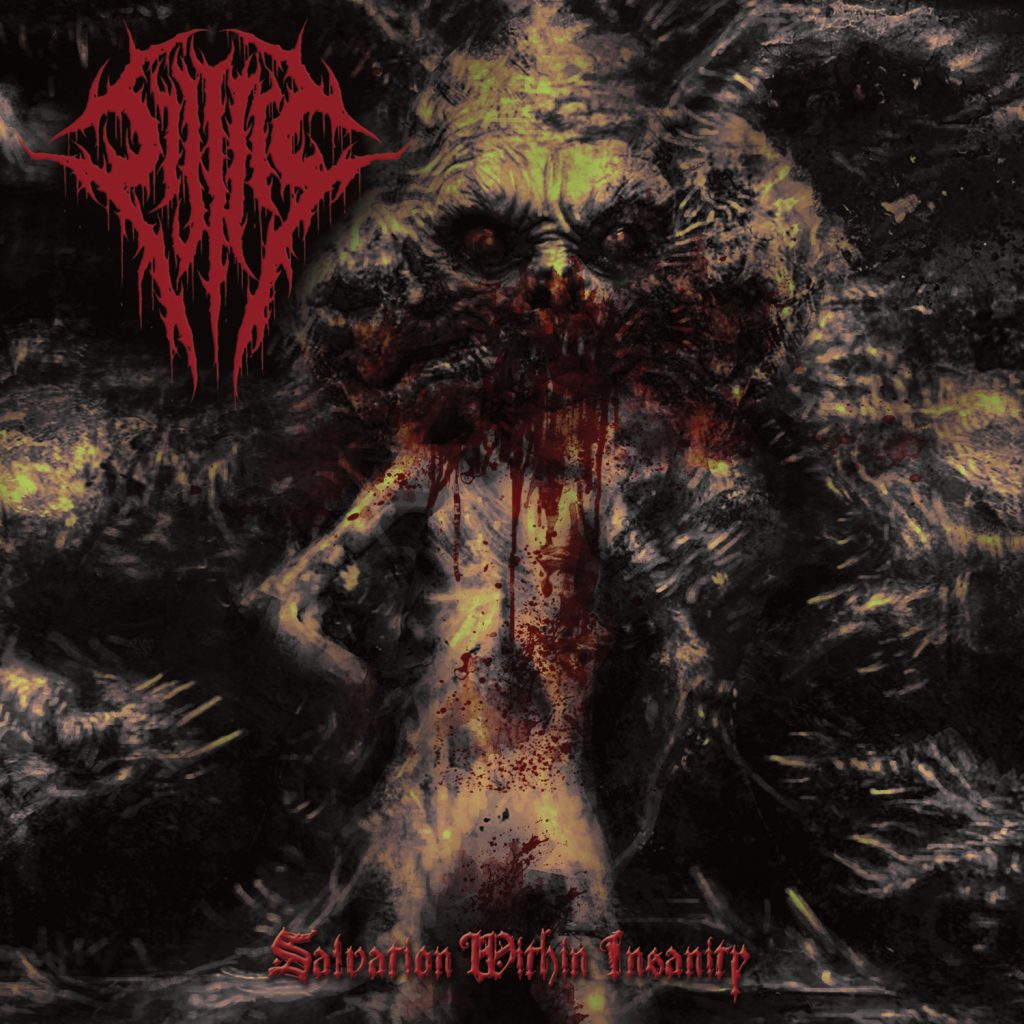 Salvation Within Insanity Album Cover Art