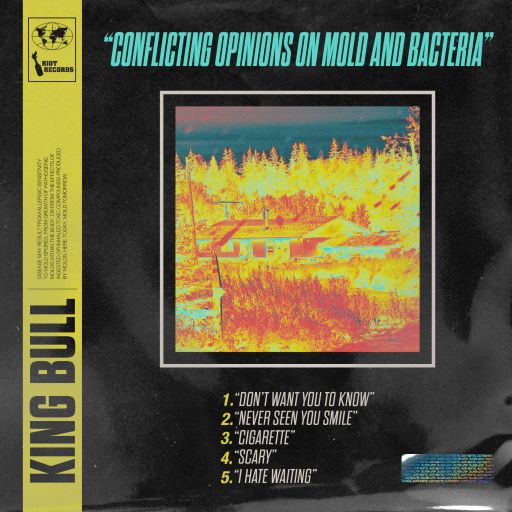 Conflicting Opinions On Mold and Bacteria Album Cover Art