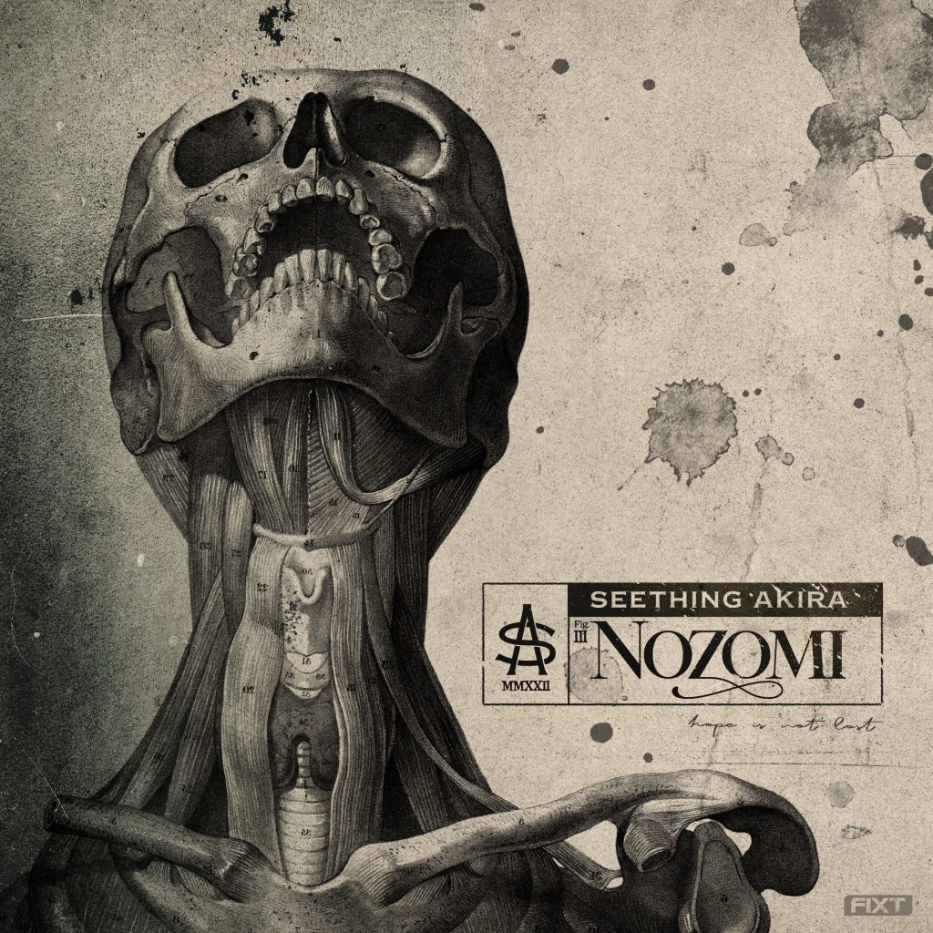 Nozomi Album Cover Art