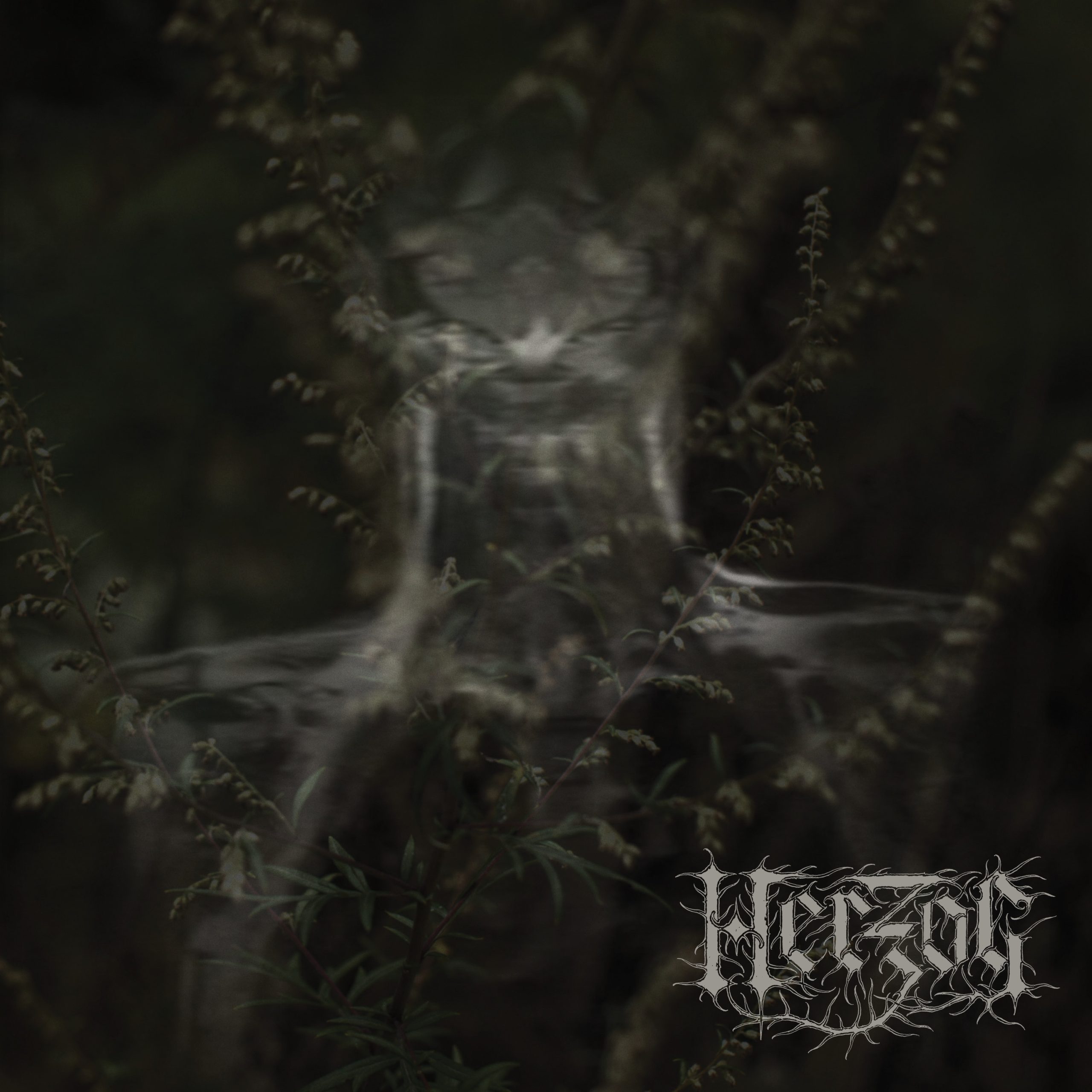 Herzog – Mugwort