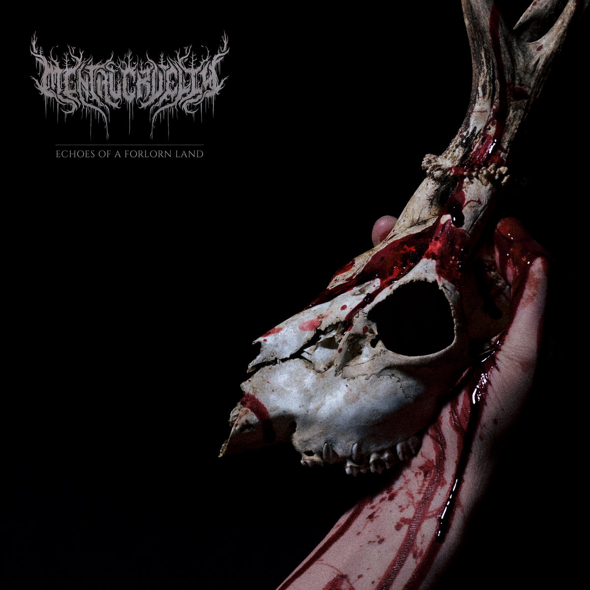 Mental Cruelty  – Echoes Of A Forlorn Land
